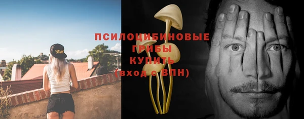ПСИЛОЦИБИНОВЫЕ ГРИБЫ Навашино