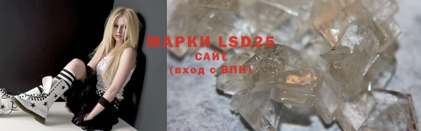 соль ск Надым