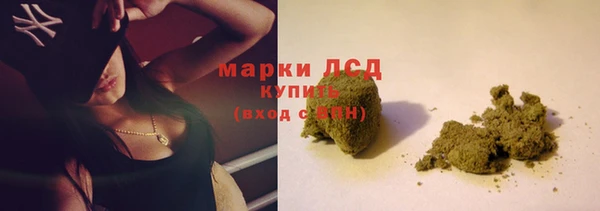 ПСИЛОЦИБИНОВЫЕ ГРИБЫ Навашино