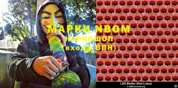 ПСИЛОЦИБИНОВЫЕ ГРИБЫ Навашино