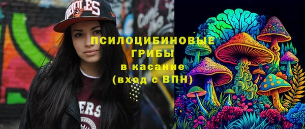 ПСИЛОЦИБИНОВЫЕ ГРИБЫ Навашино