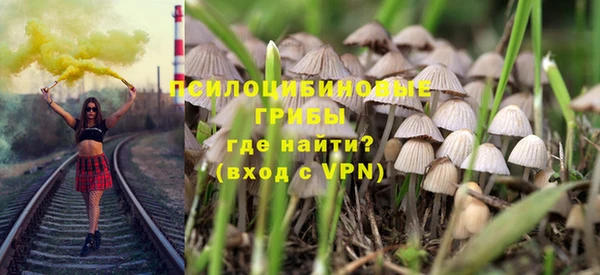 ПСИЛОЦИБИНОВЫЕ ГРИБЫ Навашино