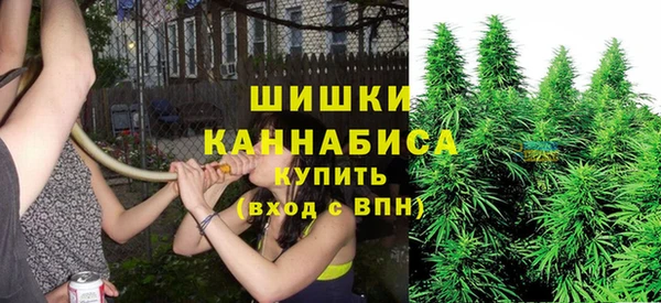 соль ск Надым