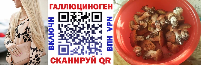 Псилоцибиновые грибы мицелий  Саратов 