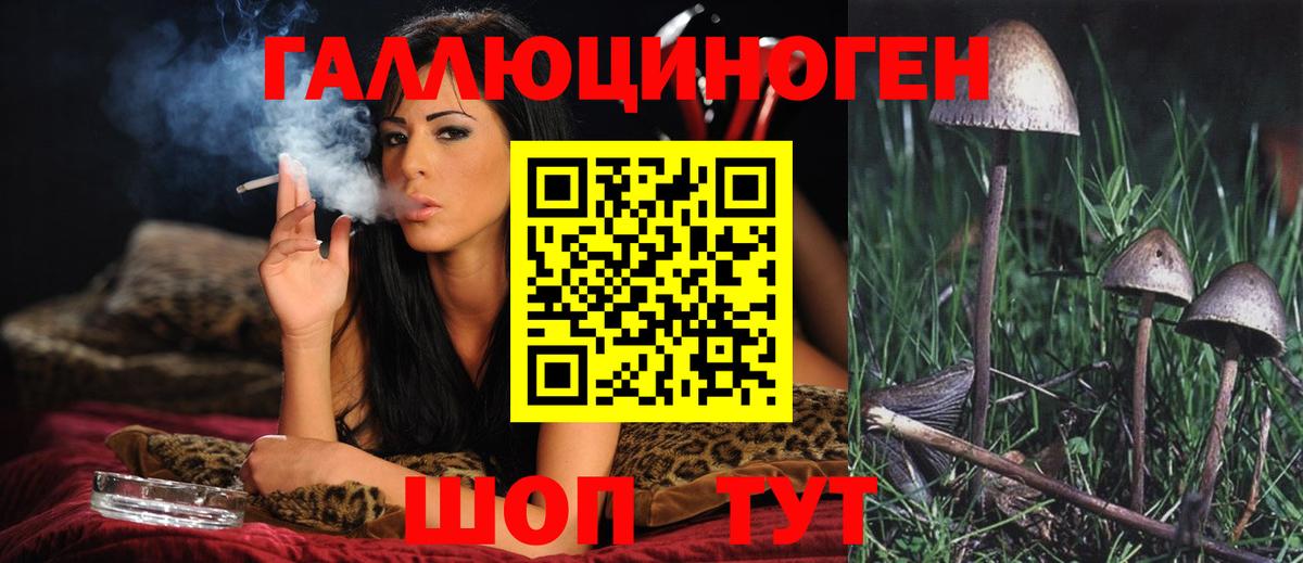 Галлюциногенные грибы мицелий Саратов