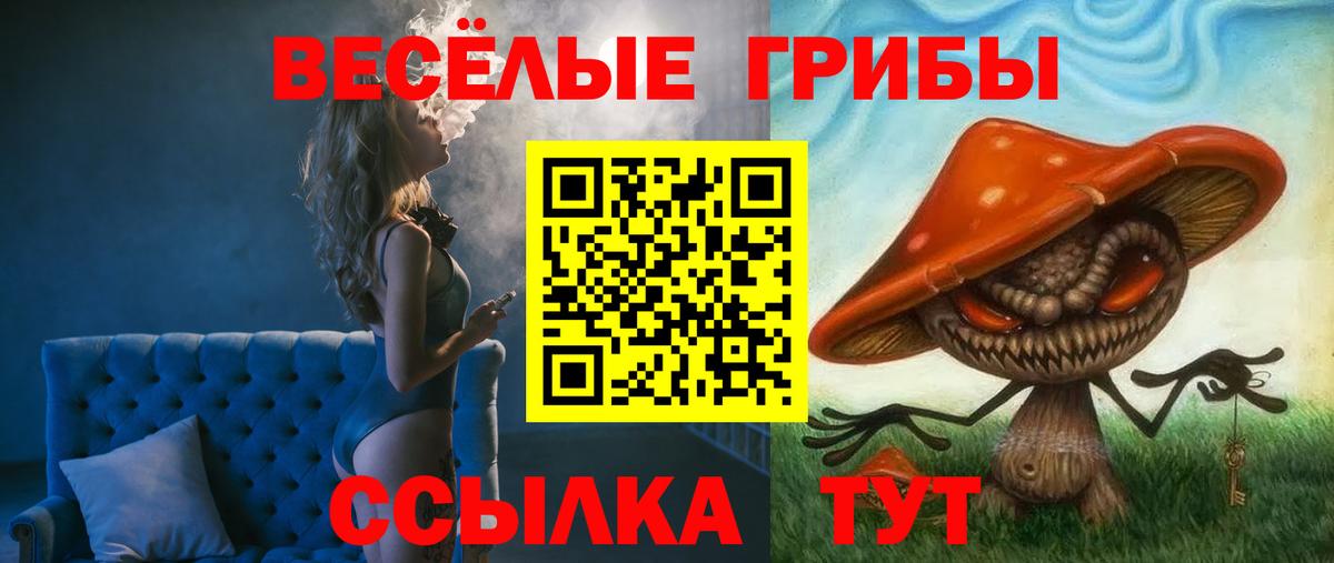 Псилоцибиновые грибы прущие грибы  Псилоцибиновые грибы Psilocybe  Саратов 