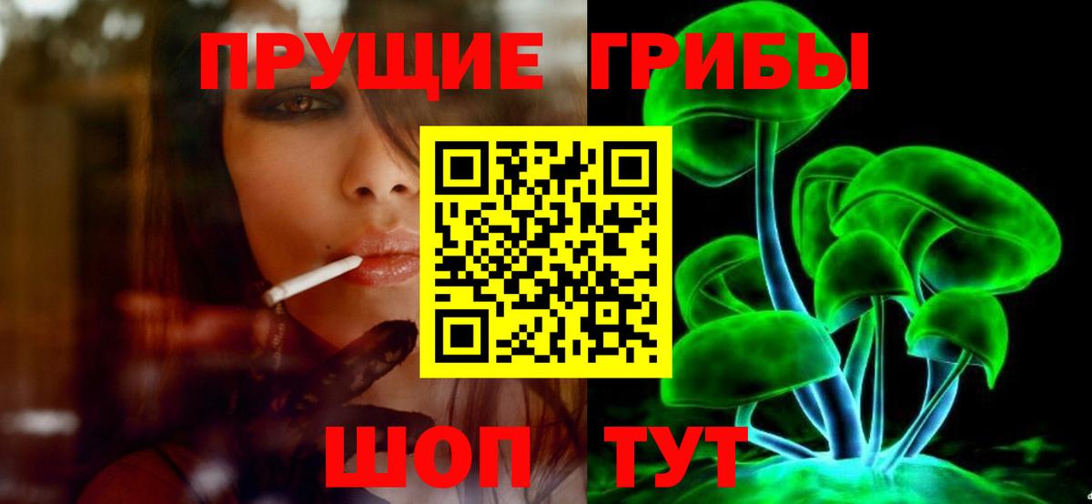 Галлюциногенные грибы Psilocybe  Вход с VPN  Саратов 